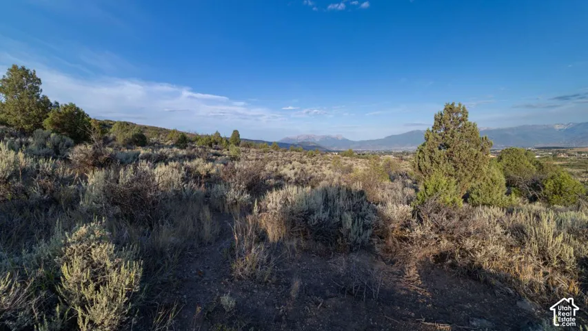 Expansive undeveloped land featuring natural vegetation and distant mountain ranges