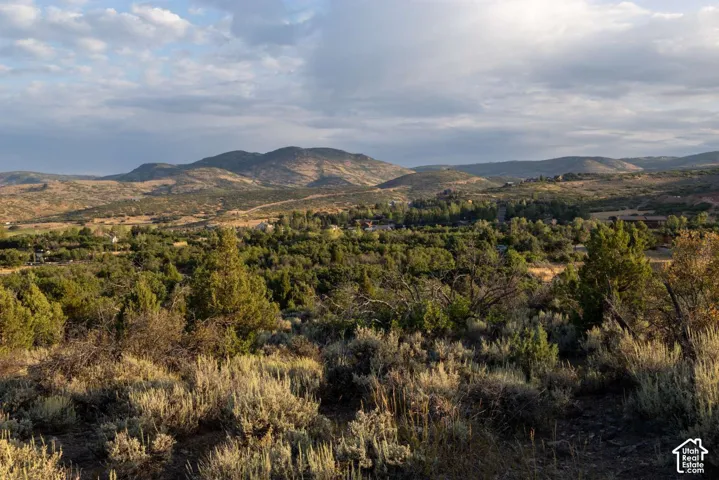Expansive mountain scenery with natural landscaping