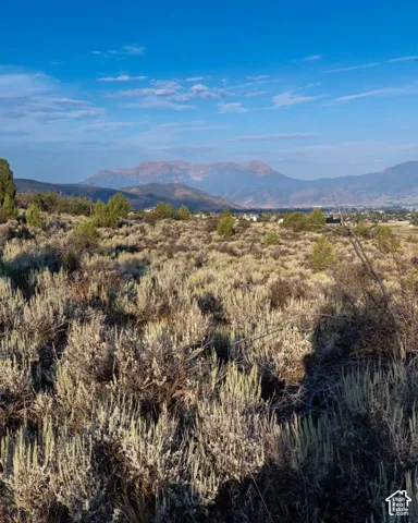 Expansive natural landscape featuring varied shrubbery and distant mountain formations