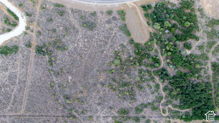 Expansive natural landscape featuring varied vegetation