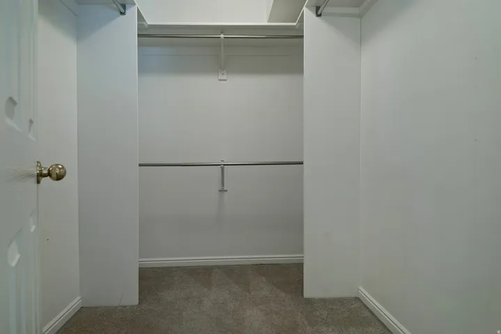 Walk-in closet featuring carpet flooring, crisp white walls, and dual clothing rods