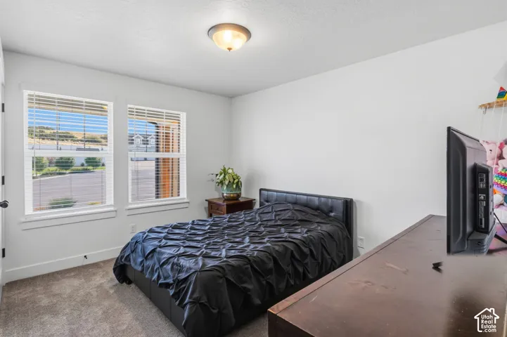 Dual windows with blinds, wall-to-wall carpeting, and a flush-mount ceiling light fixture