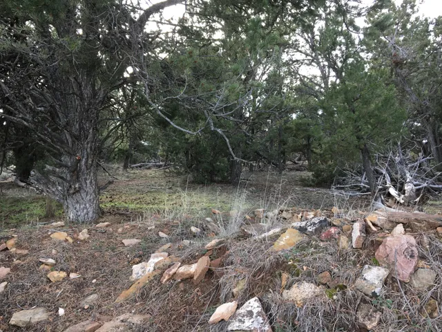 1590 S Elk Meadows Dr, Monticello, Utah 84535