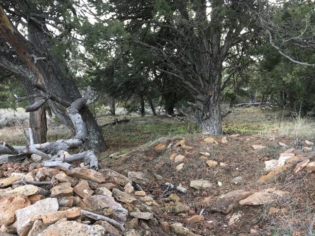 1590 S Elk Meadows Dr, Monticello, Utah 84535