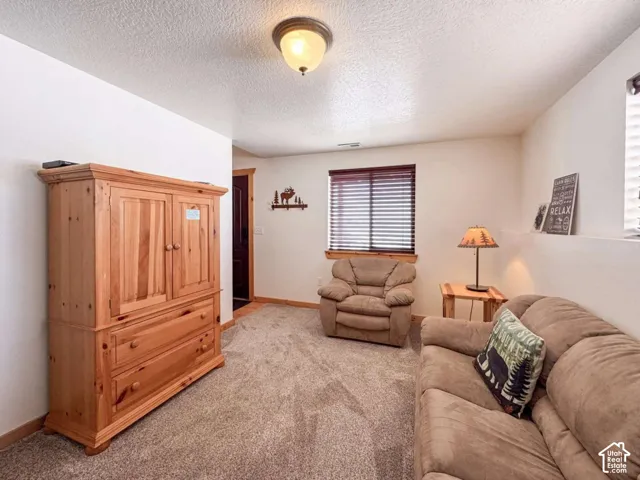 Neutral wall paint, textured ceiling, two windows with blinds, recessed wall shelving, and a flush mount ceiling light