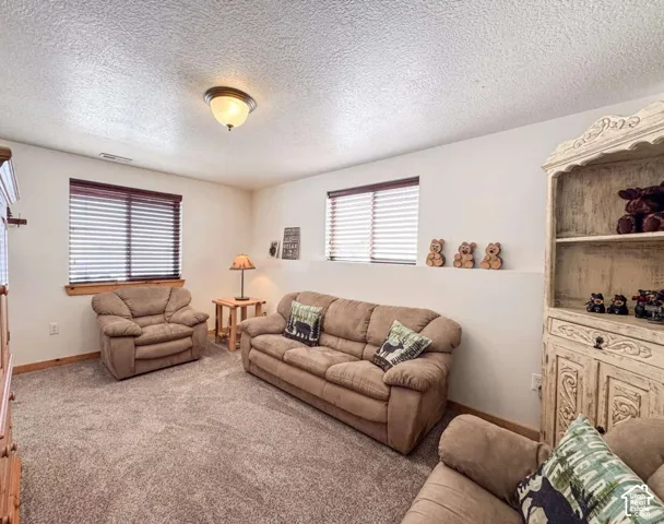 Recessed windows with wood trim, wall-to-wall carpeting, and a built-in display cabinet with carved details