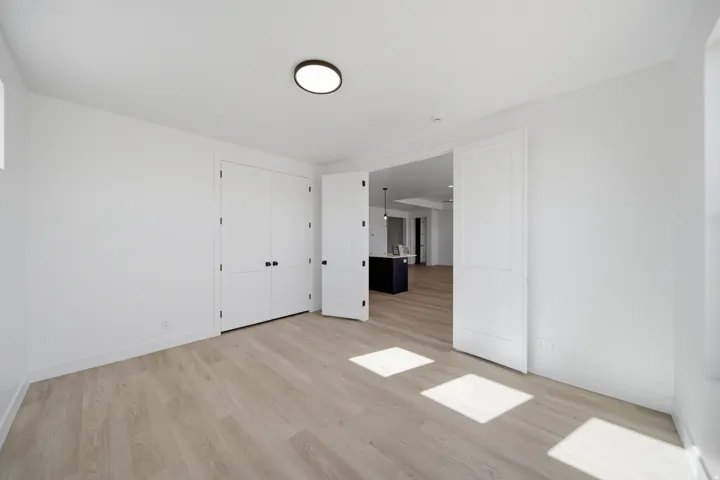 Recessed panel double doors, wood-finish flooring, and a flush mount ceiling light