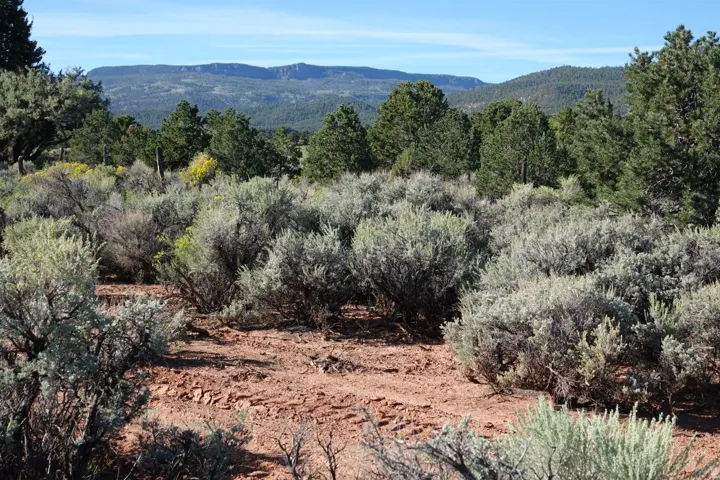 3600 S Teasdale Rd, Teasdale, Utah 84773