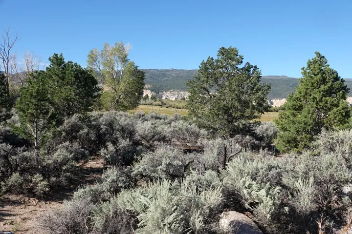 3600 S Teasdale Rd, Teasdale, Utah 84773