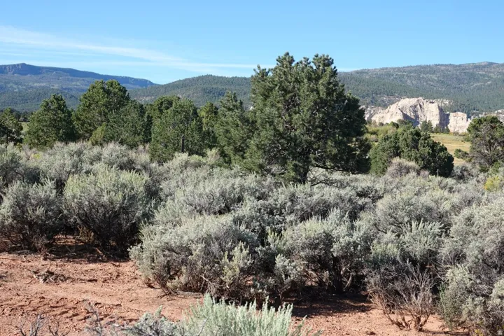 3600 S Teasdale Rd, Teasdale, Utah 84773