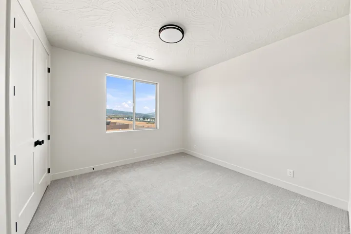 White interior walls, light gray carpet, window with mountain backdrop, flush mount ceiling light, and matte black door hardware