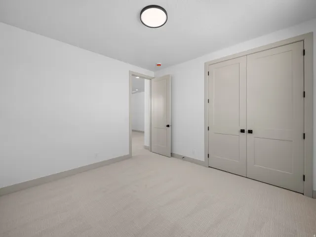 Neutral-toned carpeting, light gray walls, a flush-mount ceiling light, and a double-door closet with matte black hardware