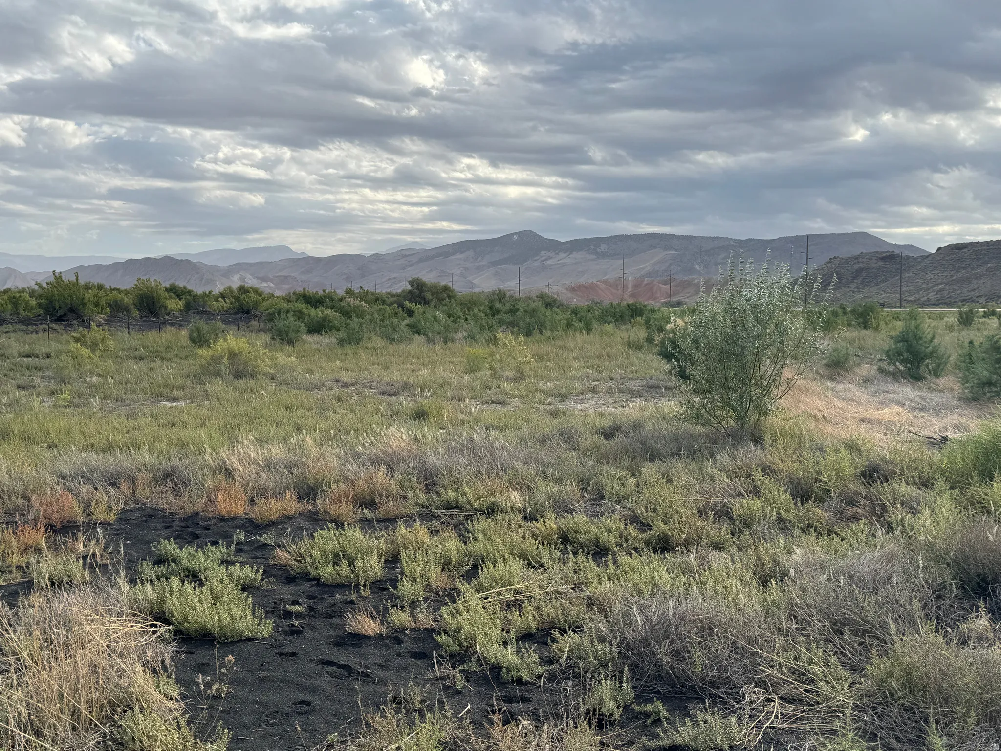 Expansive open land featuring natural vegetation and distant mountain ranges