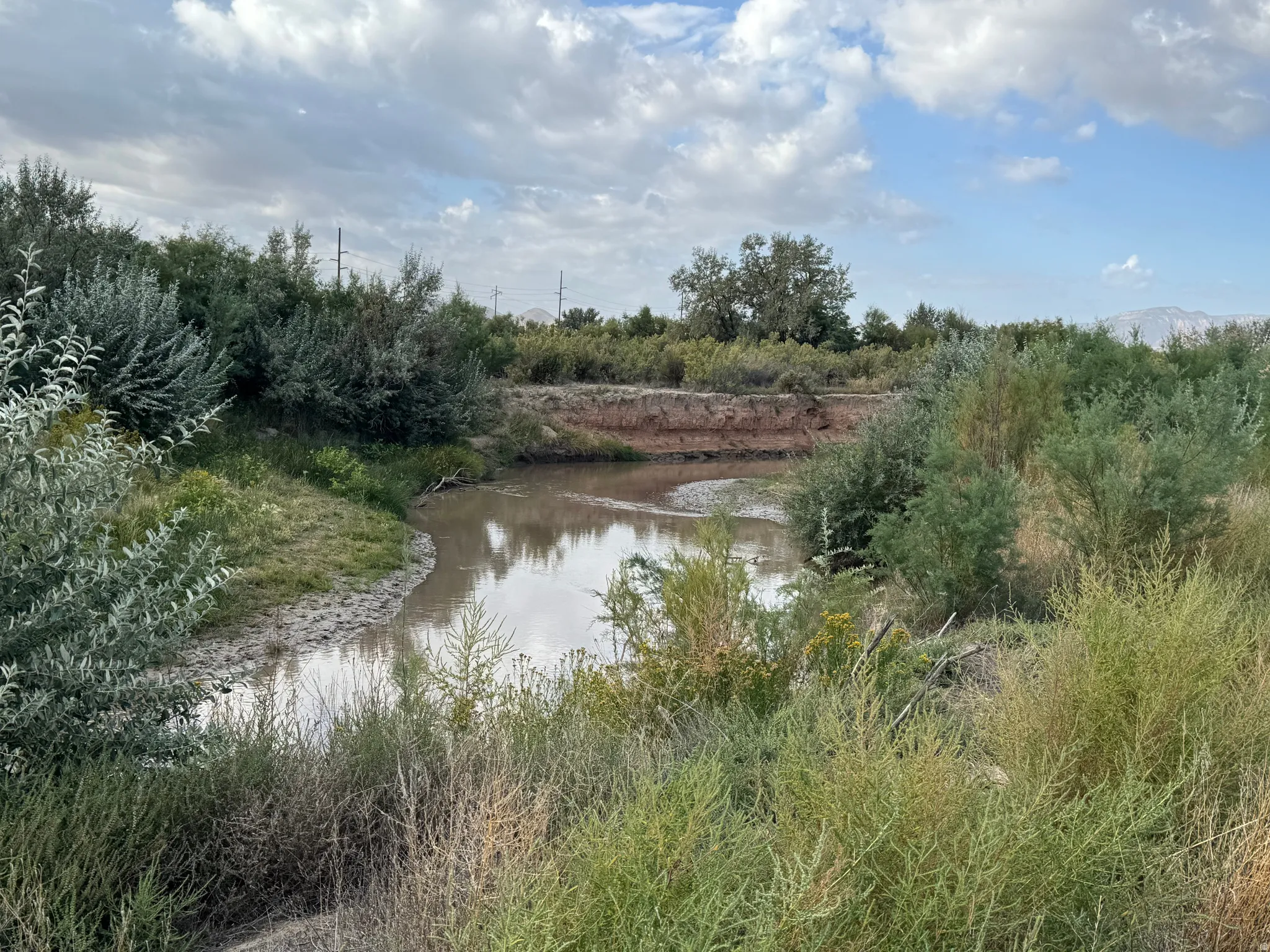 Natural water feature surrounded by dense vegetation