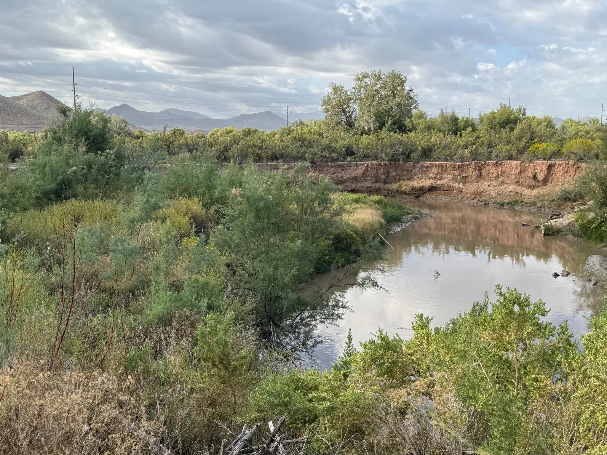 Natural water feature with surrounding vegetation and distant mountain range