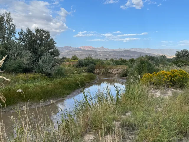 Natural waterway surrounded by lush greenery, mature trees, and distant mountains under a blue sky