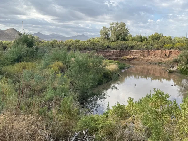 Natural water feature with surrounding vegetation and distant mountain range