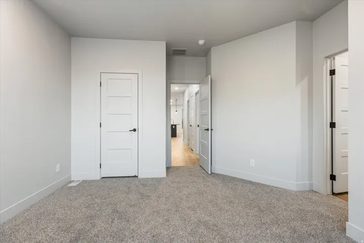 Gray carpeting, light gray wall paint, five-panel white doors with black hardware, and wood-finish flooring visible in the hallway