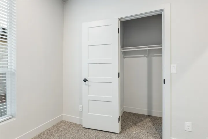 Recessed window with horizontal blinds, textured wall finish, plush carpeting, contemporary paneled interior door with matte black hardware, and an organized closet space featuring a hanging rod