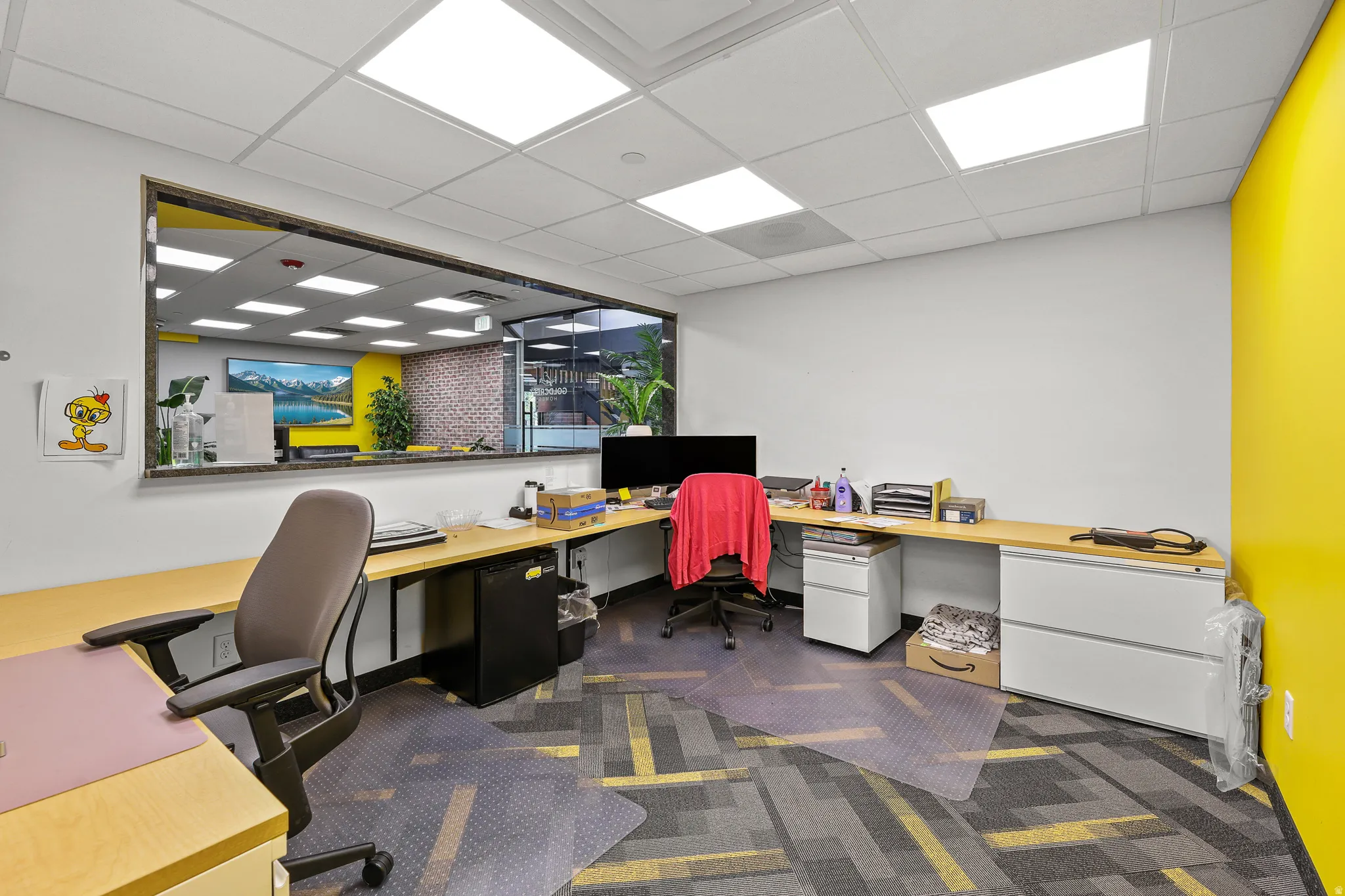 Open office space featuring a large interior window, wood-finish countertops, modular ceiling tiles with recessed lighting, a vibrant accent wall, and patterned carpet flooring