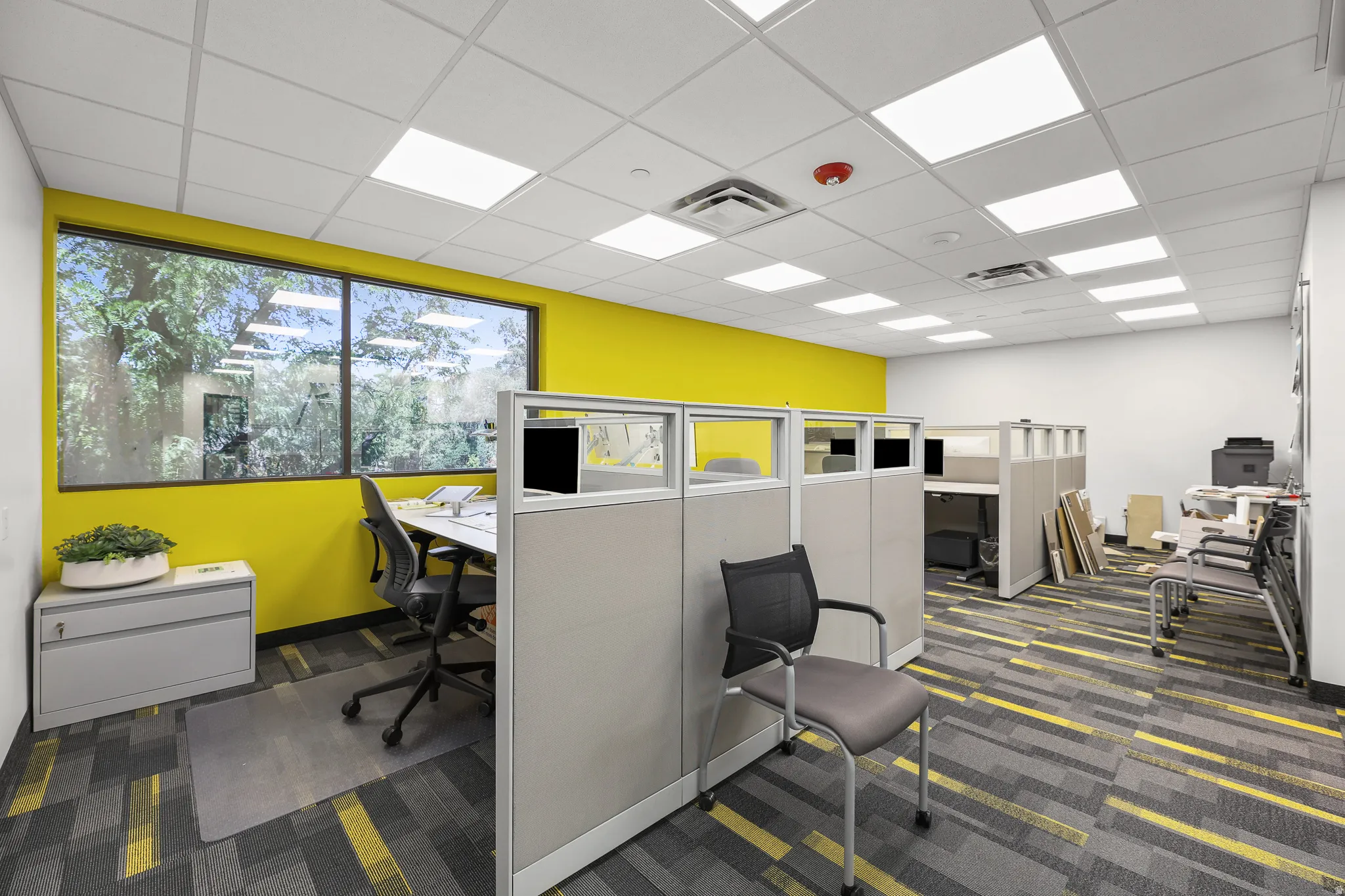 Expansive office space featuring vibrant yellow accent walls, large windows, modular office partitions, patterned carpet, and grid ceiling with integrated lighting
