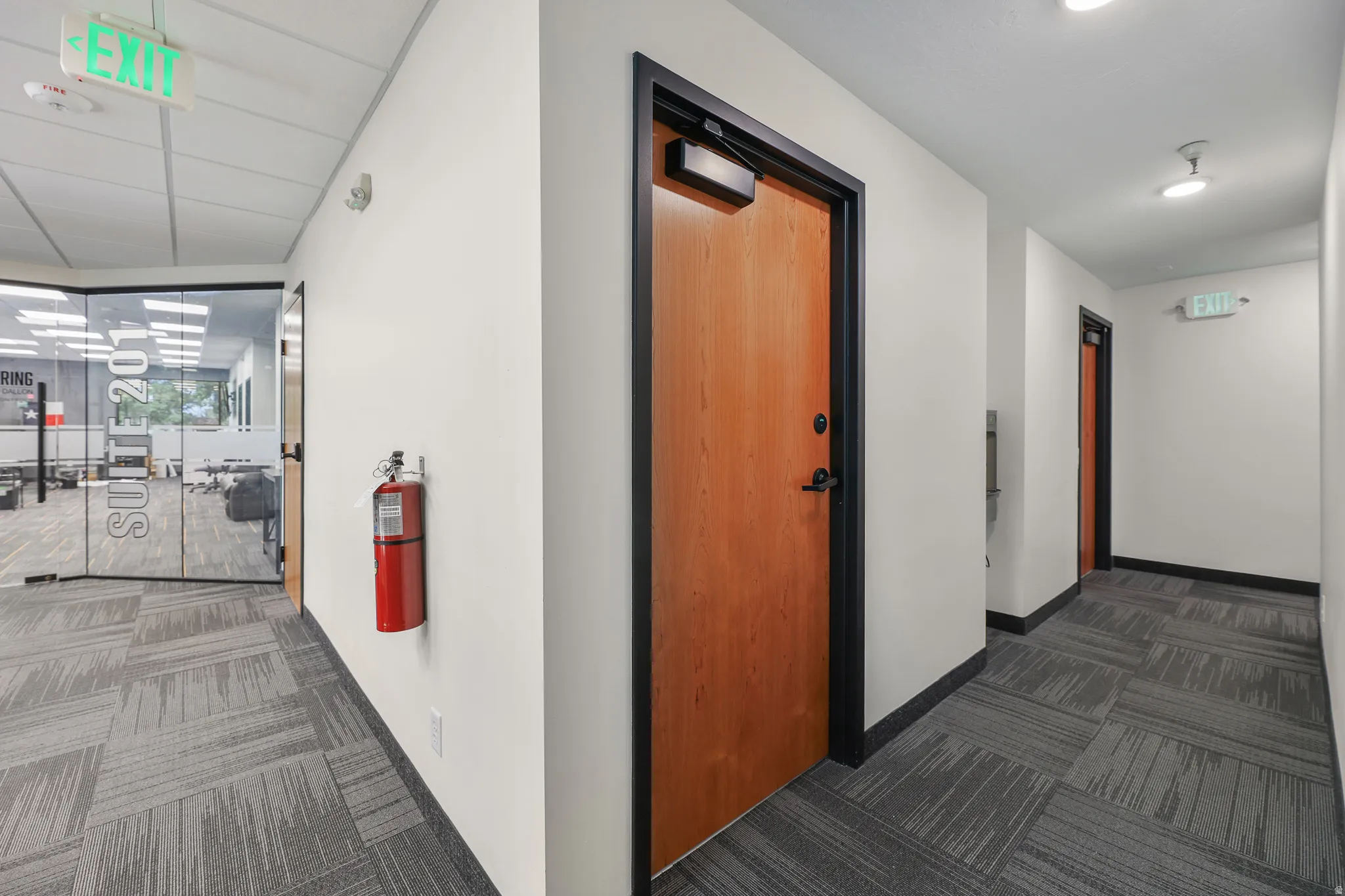 Commercial hallway with patterned carpet tile flooring, recessed ceiling lighting, and solid core doors