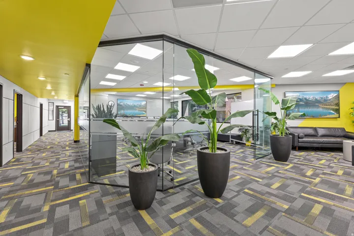 Glass-enclosed office space with patterned carpeting and recessed lighting