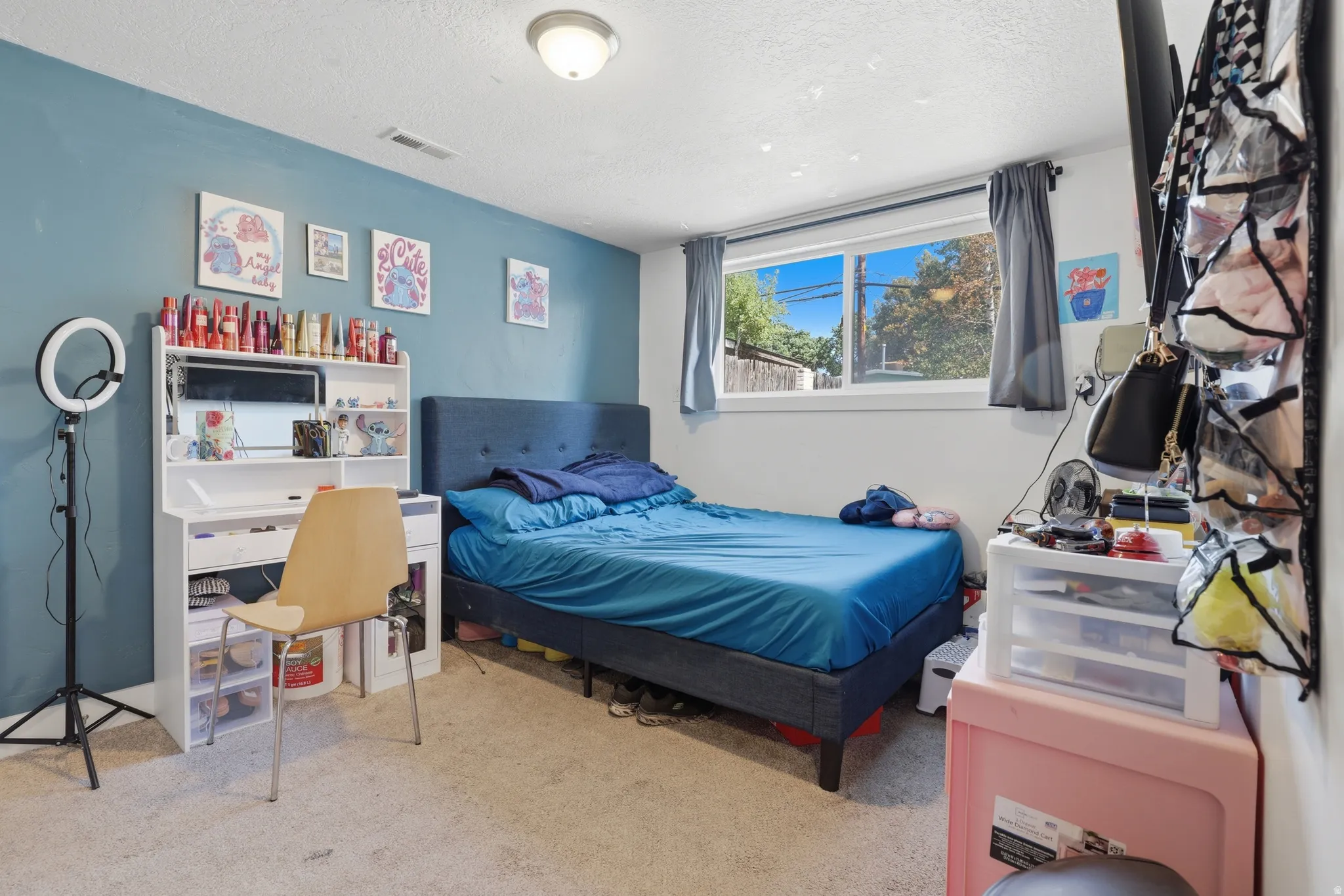 Window with exterior scenery, overhead flush mount light fixture, and carpeting
