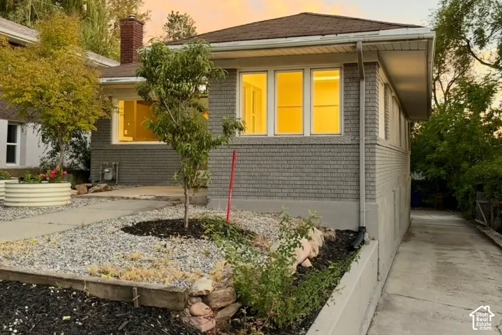 Modern residence featuring a gray fiber cement exterior with expansive yellow-framed windows, concrete driveway with integrated planter beds, and established landscaping including young trees and mature shrubs