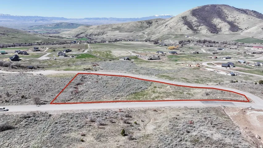 Expansive undeveloped land featuring a paved road frontage, natural shrubbery, and distant mountain scenery