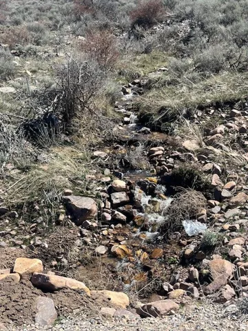 Rocky terrain with natural stream, native grasses, and scrub brush