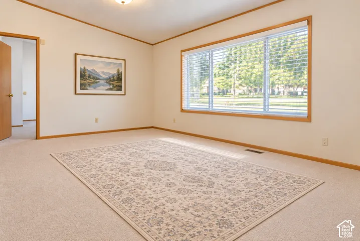 New Carpet, wood trim, large window with blinds, overhead light fixture