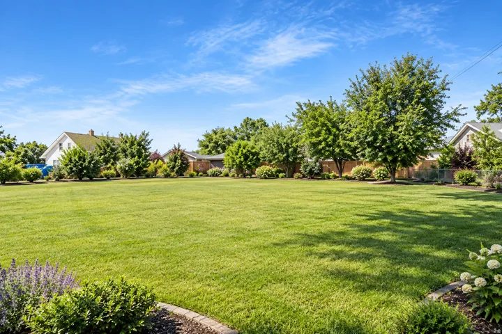 Backyard, 1/2 Acre,. Expansive lawn area, mature trees, landscaped planting beds, and a wood privacy fence