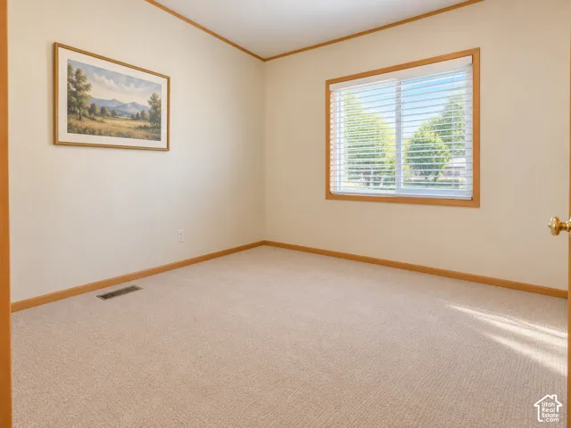 New carpet. 2nd bedroom off living room. added blinds and picture. Neutral-toned carpeting, light-colored walls, and wood trim
