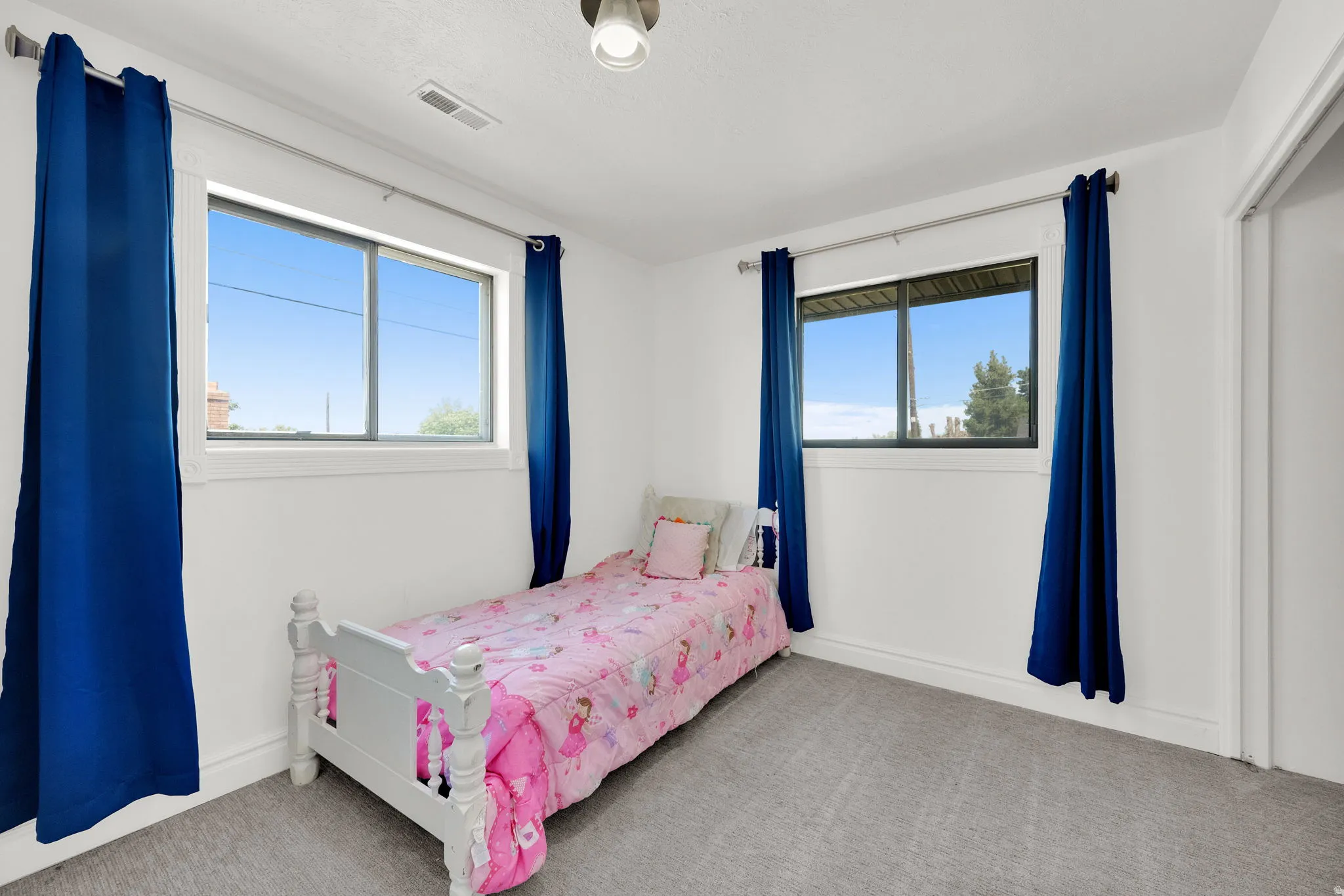 Light gray carpet flooring, white walls, and two windows