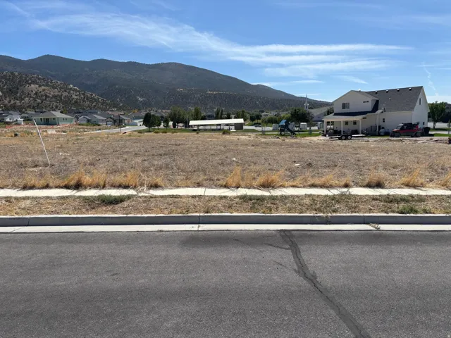 Expansive parcel of undeveloped land with a mountain backdrop