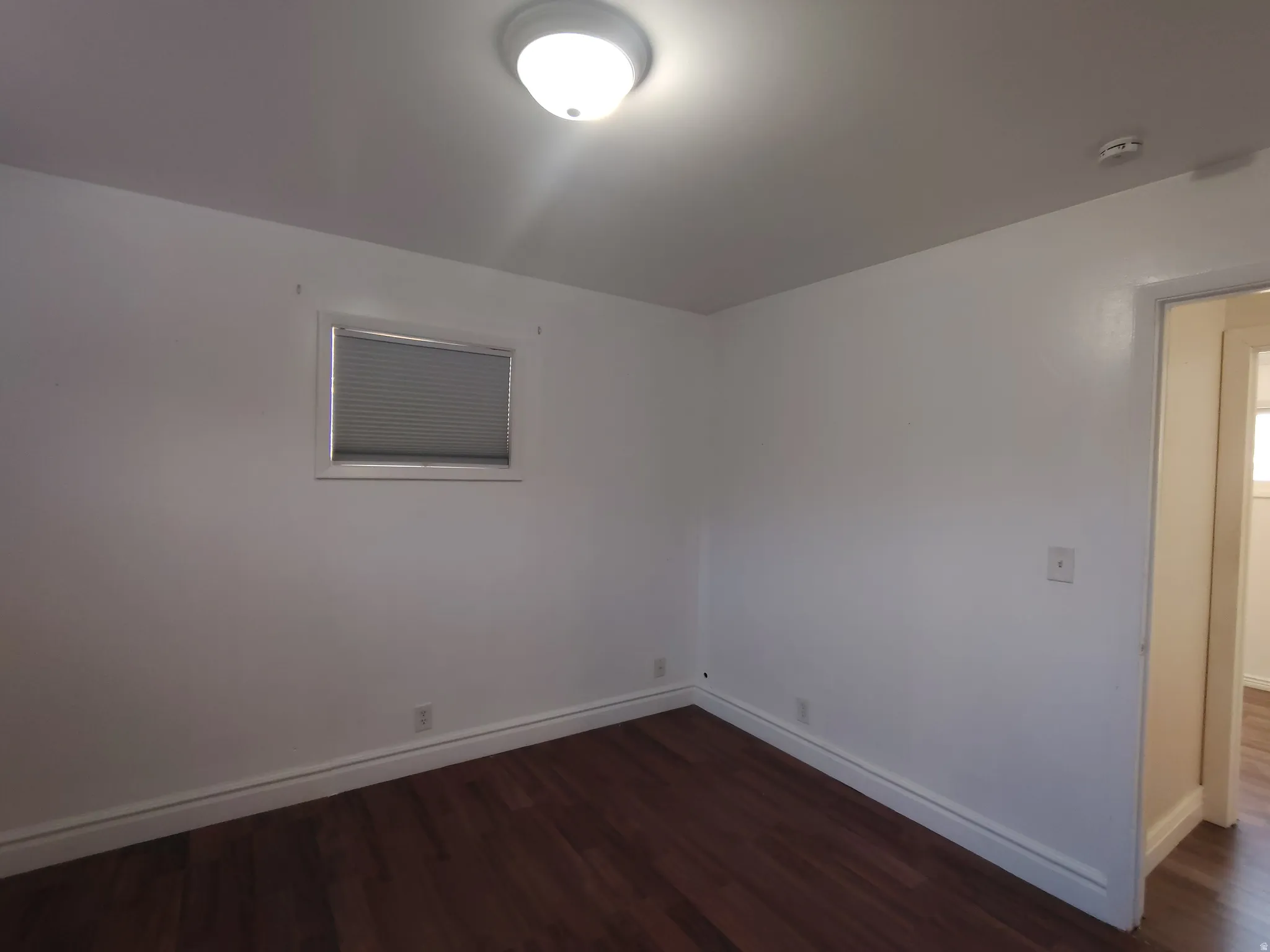 Wood-finish flooring with white trim and a ceiling-mounted light fixture