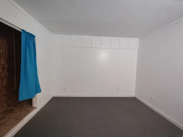 White painted walls with decorative trim and gray carpeting