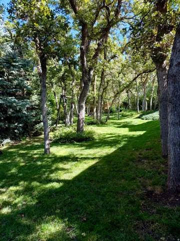 1087 E Oxford Dr, Kaysville, Utah 84037