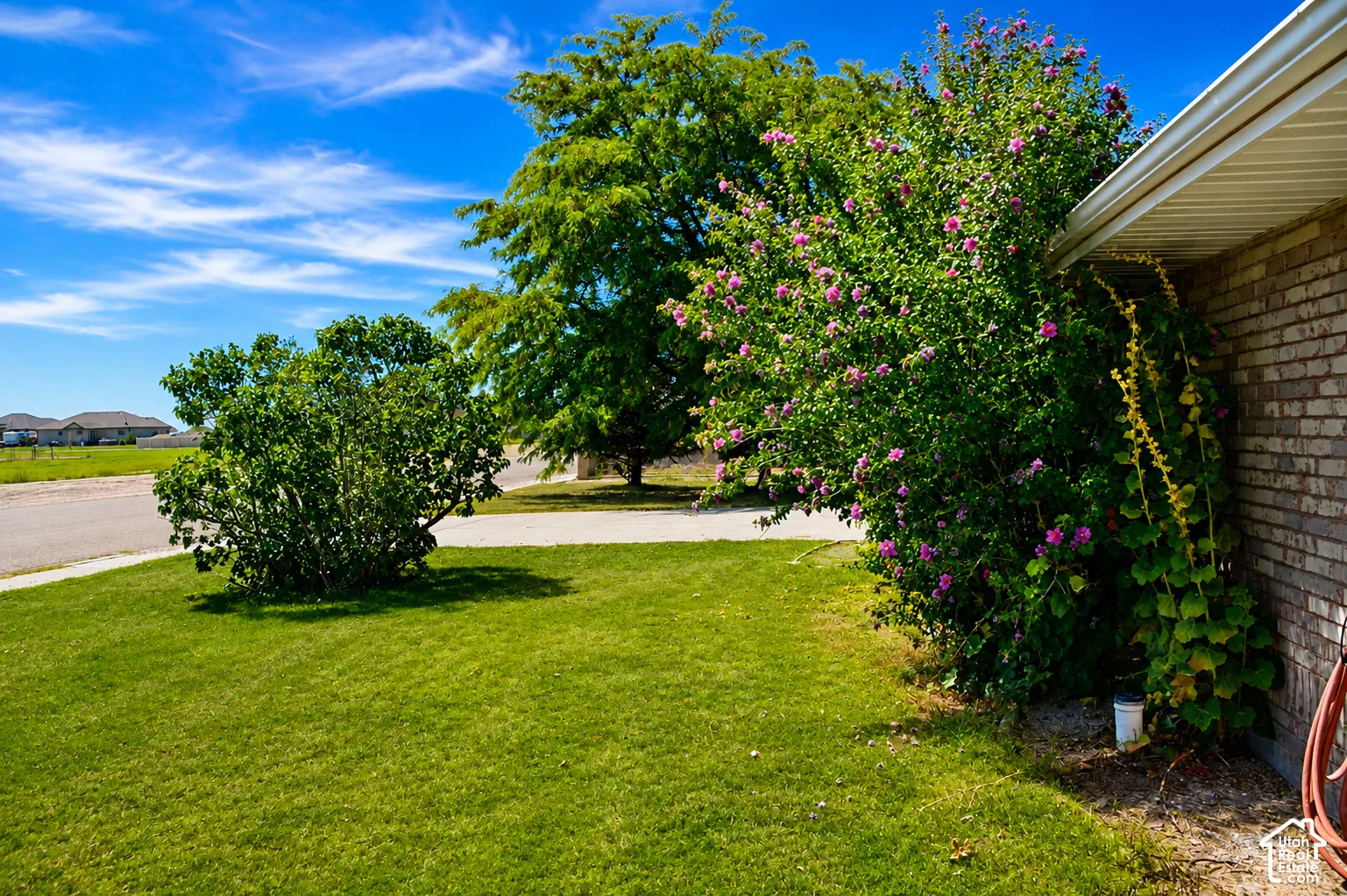 Expansive green lawn, mature trees, flowering shrubs, and a brick exterior with a visible gutter system
