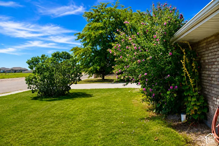 Expansive green lawn, mature trees, flowering shrubs, and a brick exterior with a visible gutter system