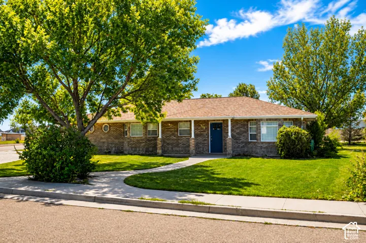 Brick and stone facade, covered entry, front yard with mature trees, established landscaping, and a concrete walkway