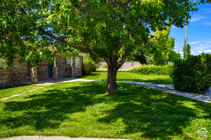 Brick exterior, covered entry, front porch columns, mature tree, green lawn