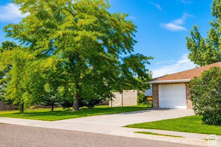 Concrete driveway leading to a single garage door