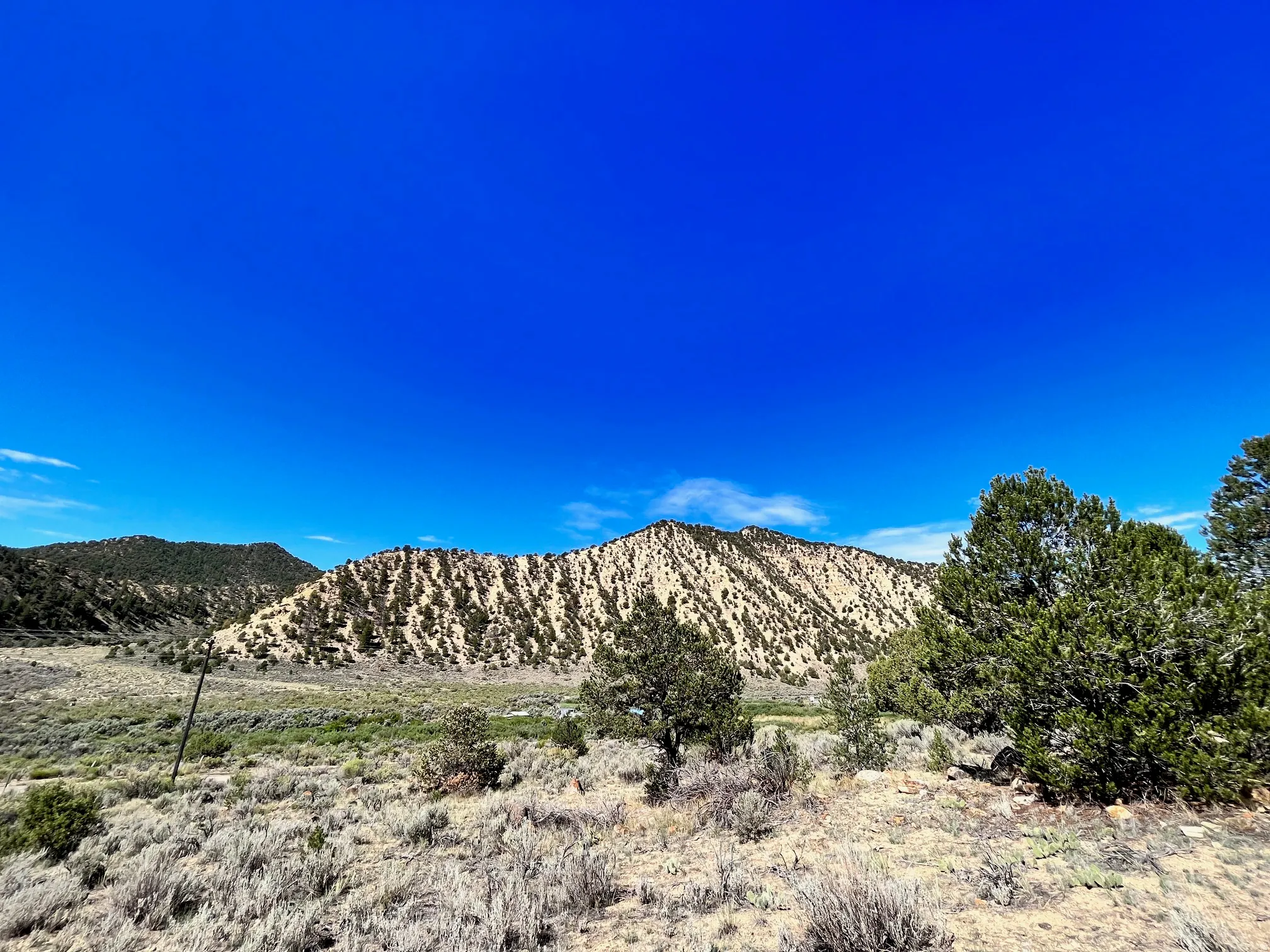 Expansive natural landscape featuring rolling hills, diverse shrubbery, and mature evergreen trees
