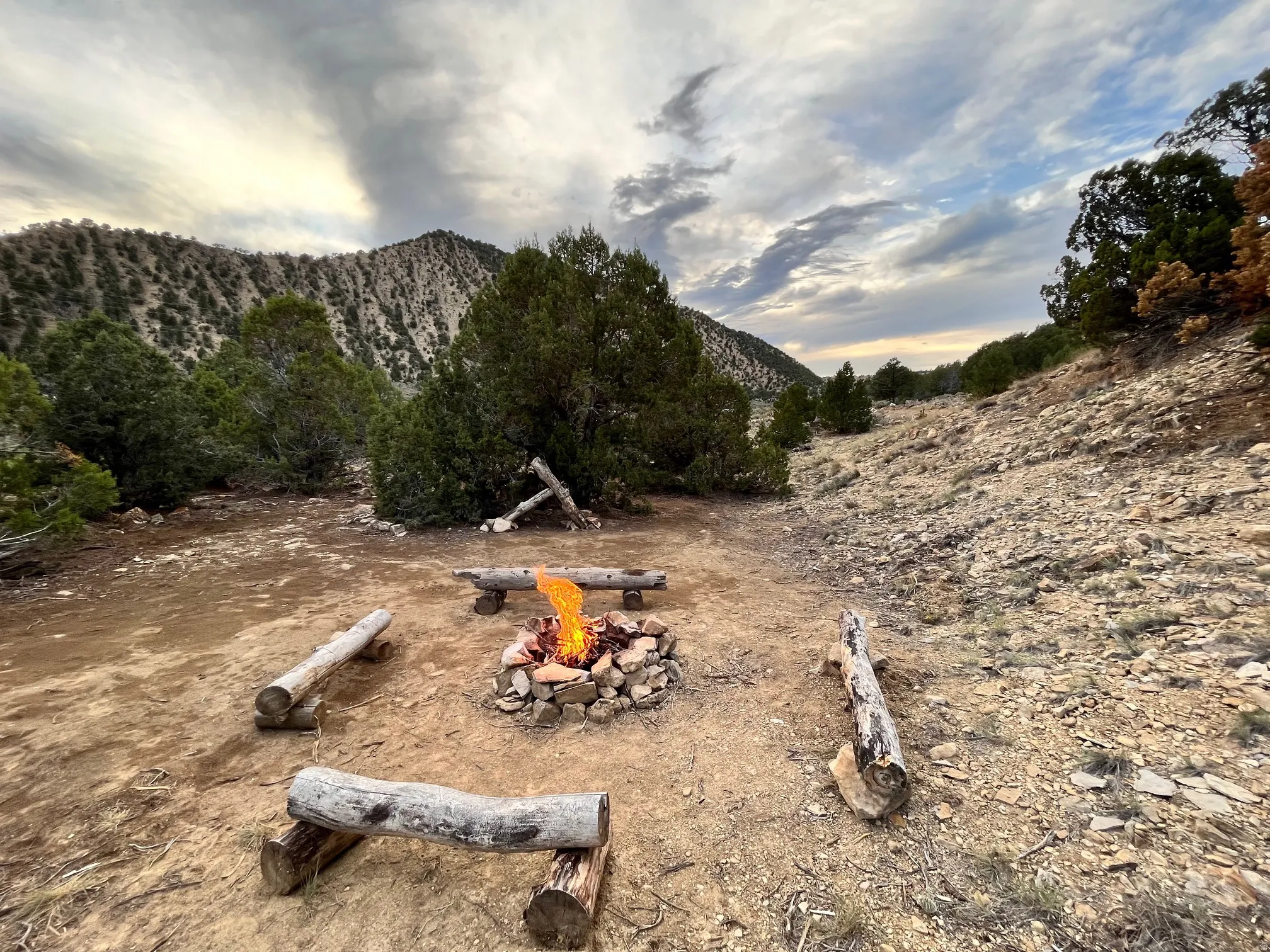Stone fire pit with log seating in a natural landscape featuring mature trees and distant hills
