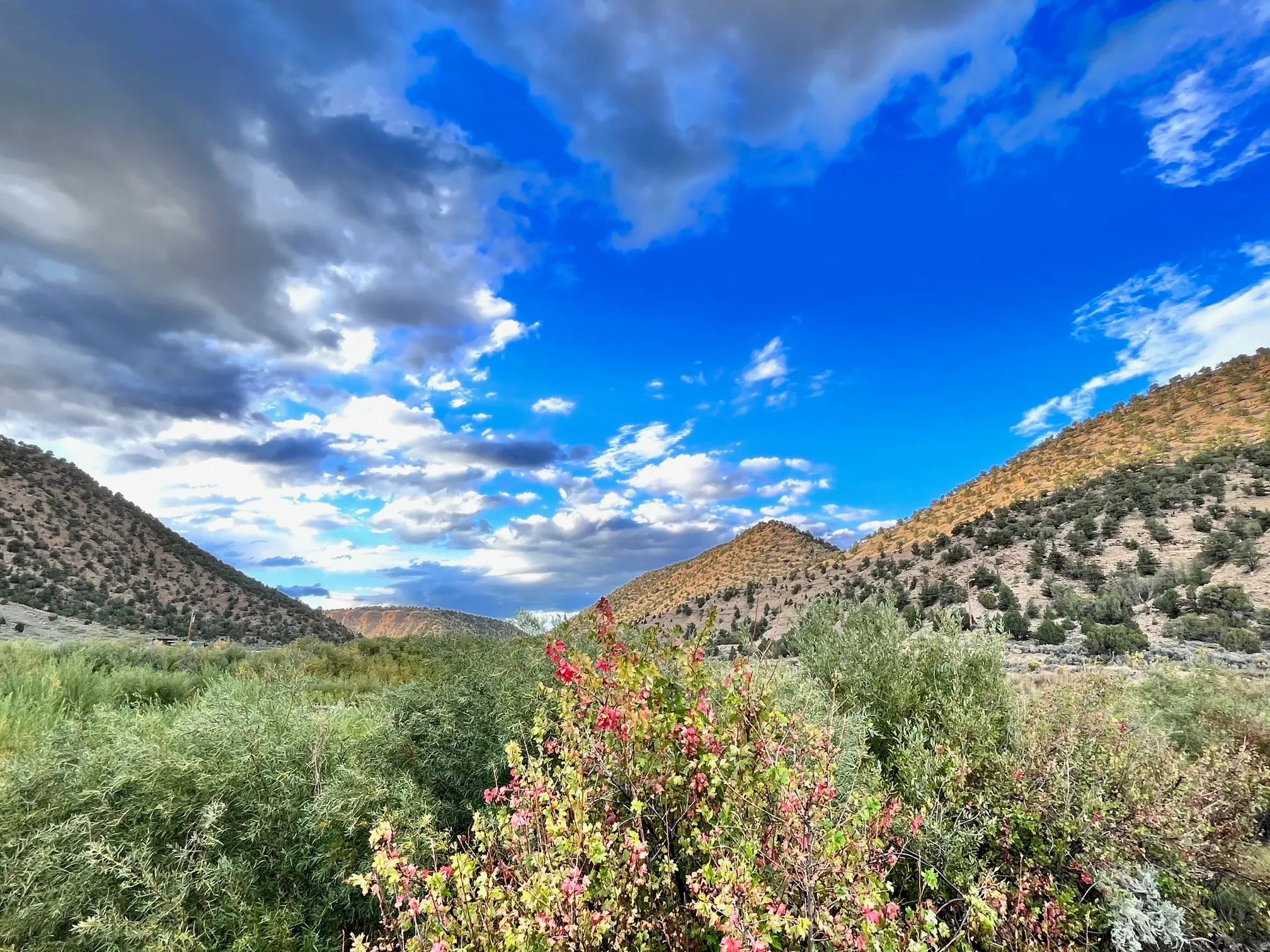 Mountainous terrain with natural shrubbery and an expansive sky