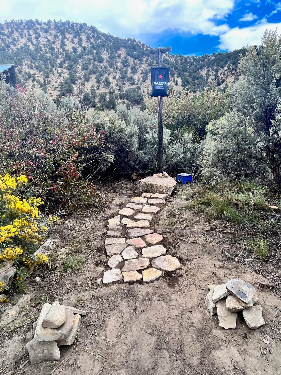 Stone pathway with natural rock elements
