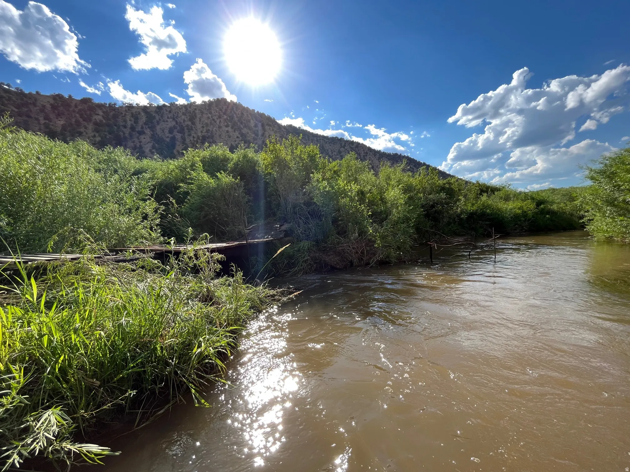 Natural waterway with dense riparian vegetation and a distant hillside