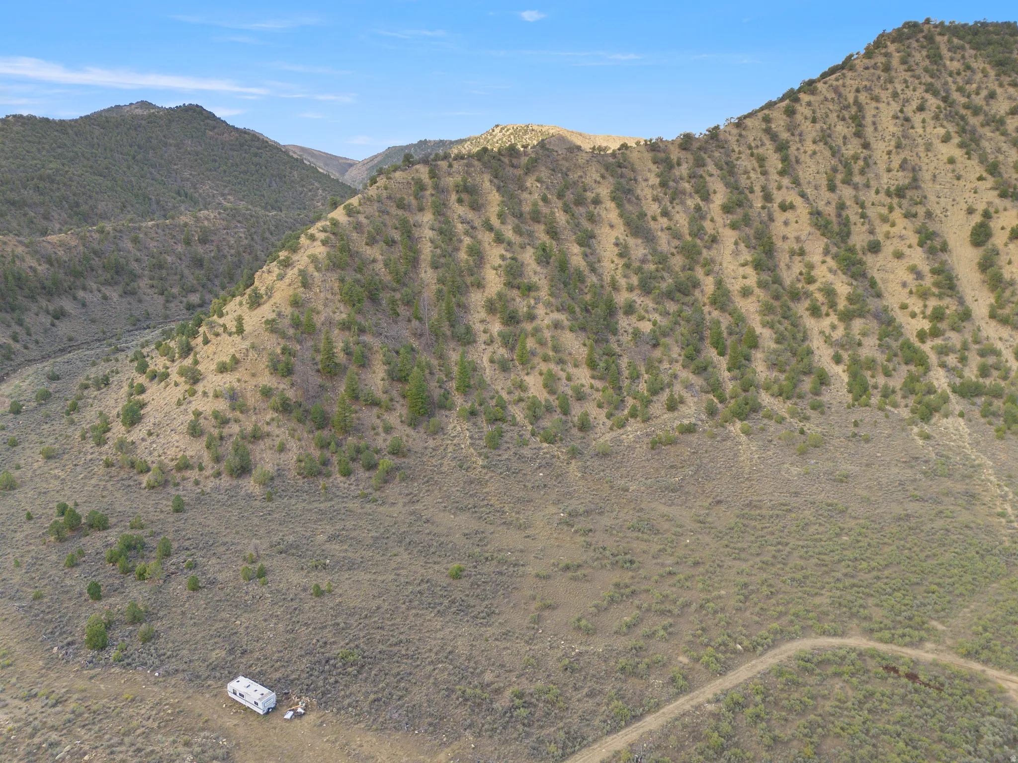 Rolling hills with varied shrubbery and scattered evergreen trees under a clear sky